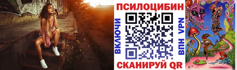 закладки  Сыктывкар  MEGA зеркало  Псилоцибиновые грибы Cubensis 