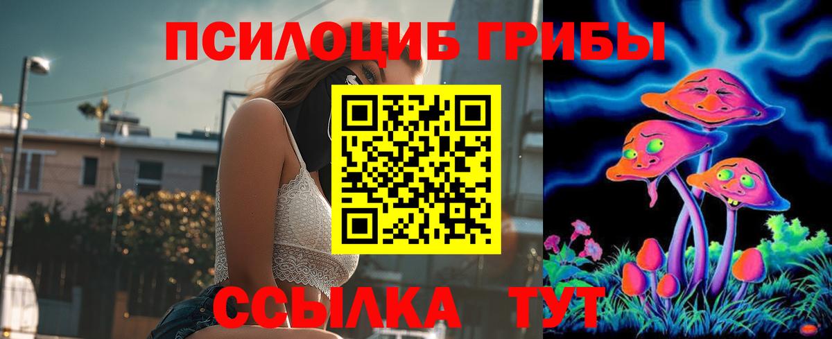 Галлюциногенные грибы прущие грибы  Сыктывкар 