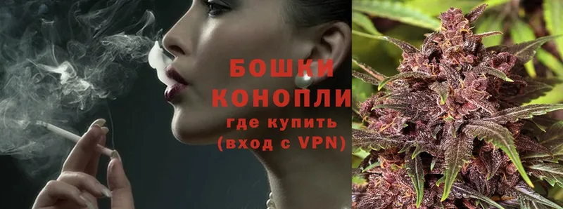 OMG tor  маркетплейс клад  Сыктывкар  Бошки марихуана Amnesia  даркнет сайт 